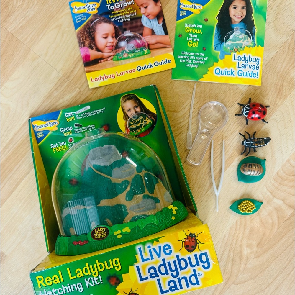 Lady Bug Land Dome Insect Lore Lady Bug Life Cycle figures, No certificate/cap